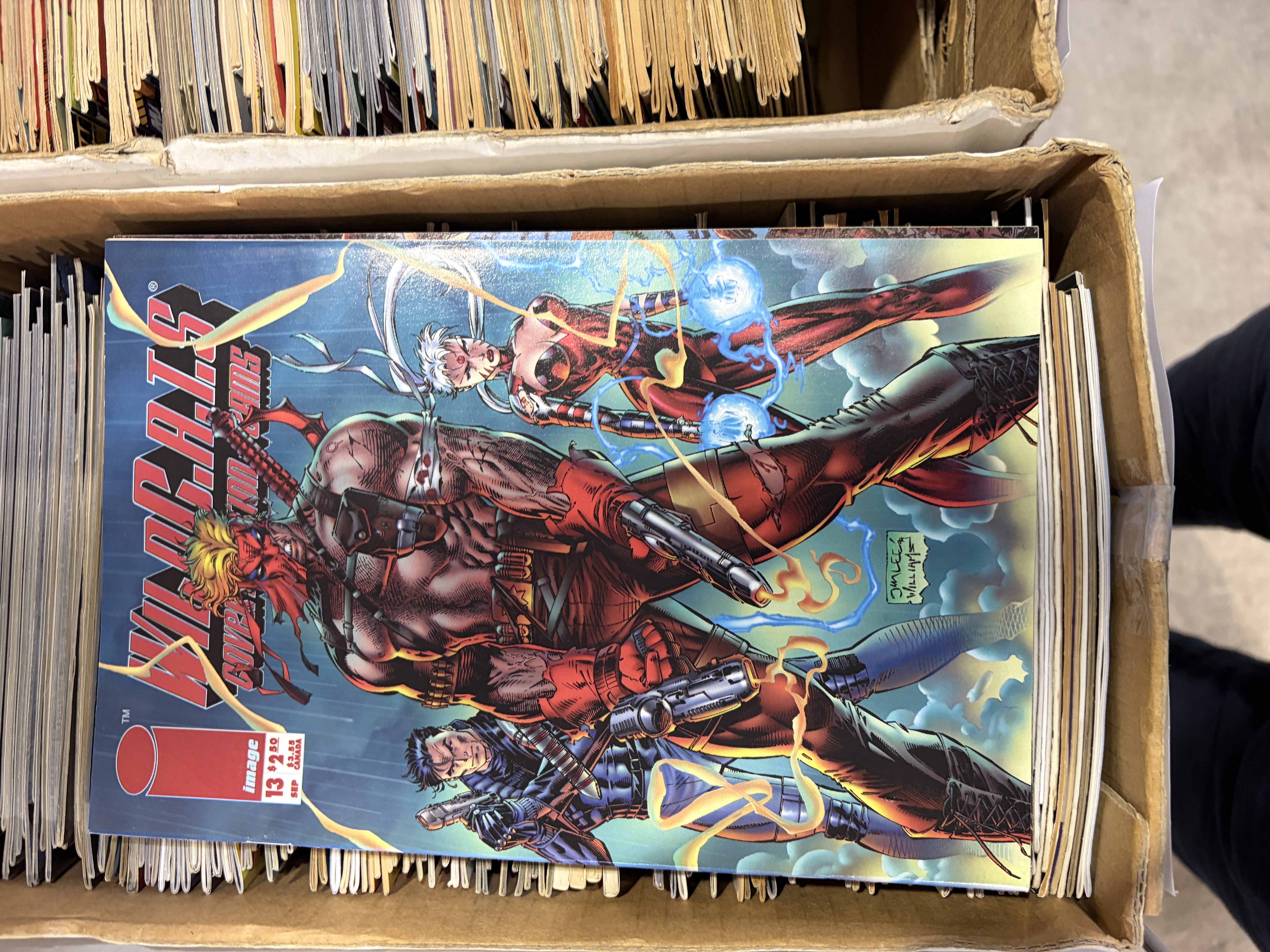 WildC.A.T.s / 13