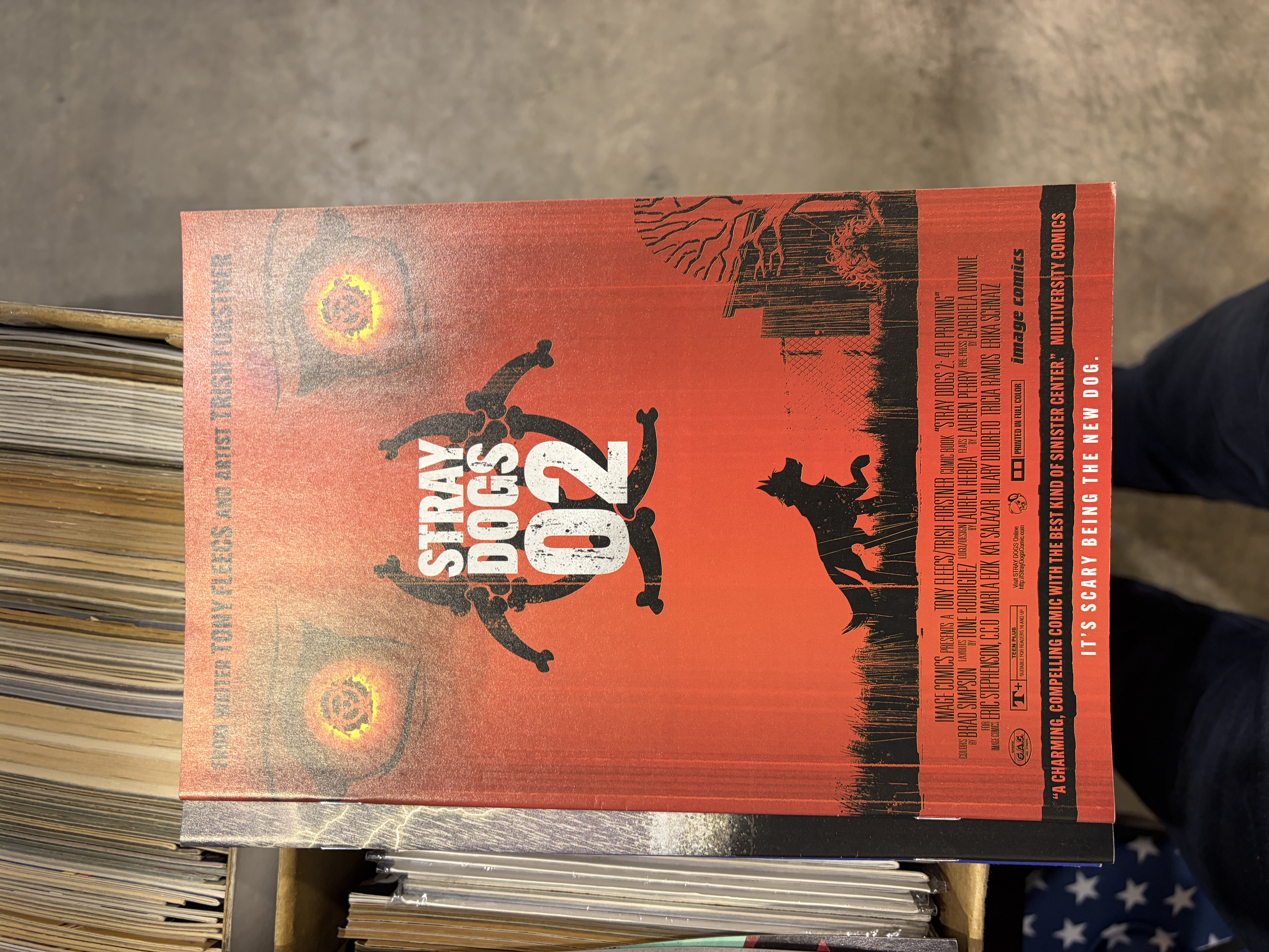 Stray Dogs 2 - 4th print