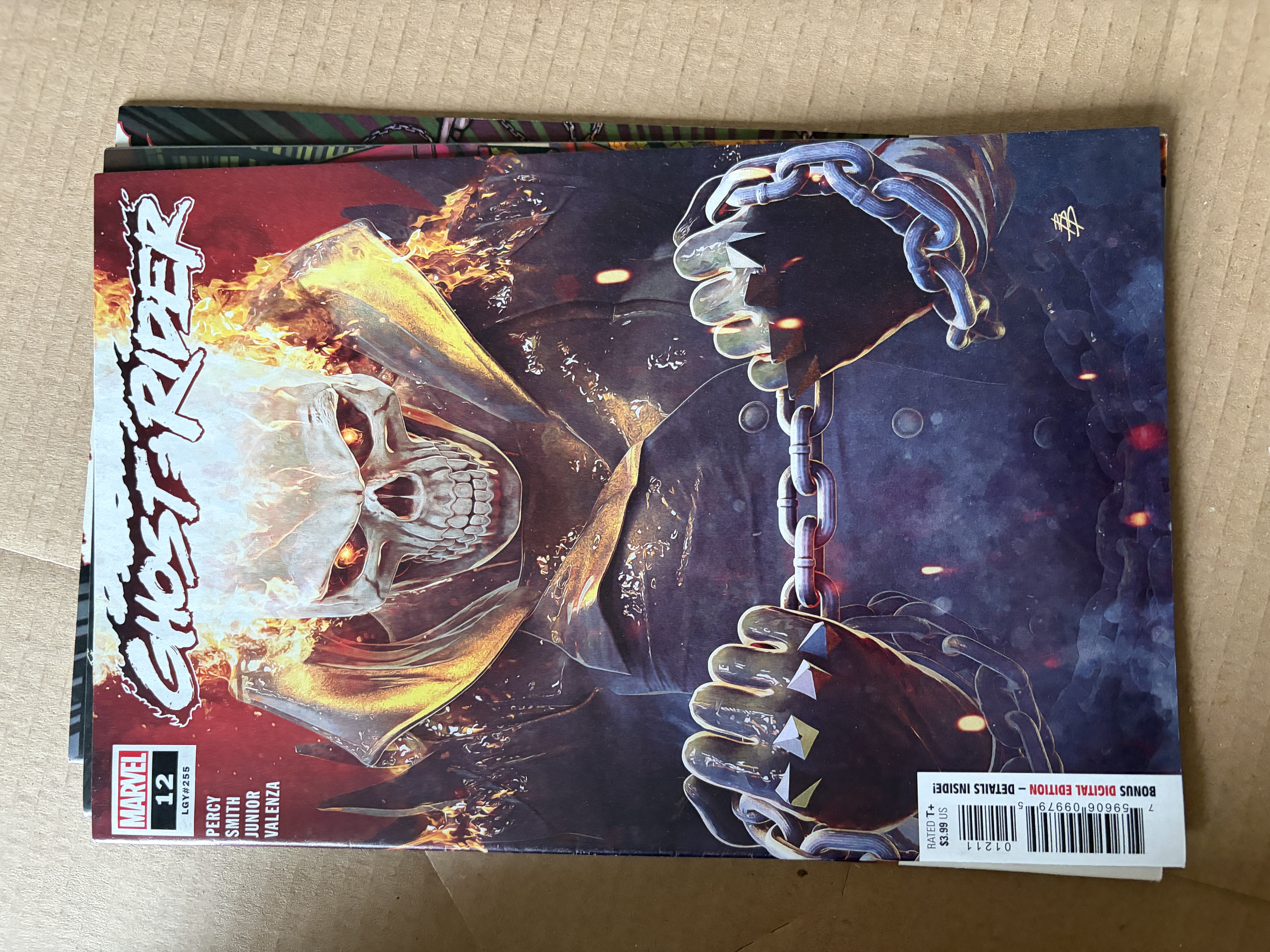 Ghost Rider #12