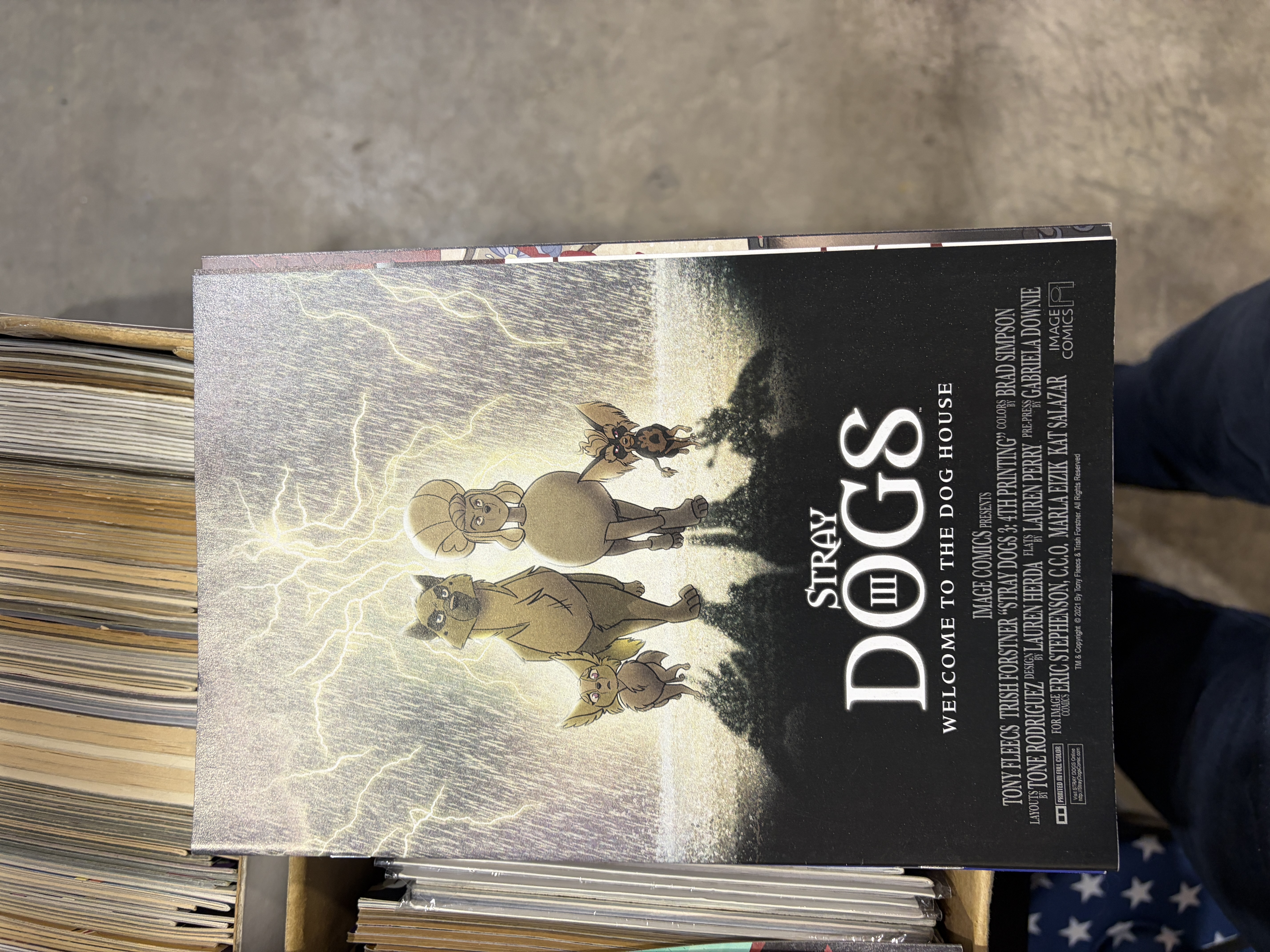 Stray Dogs 3 - 4th print
