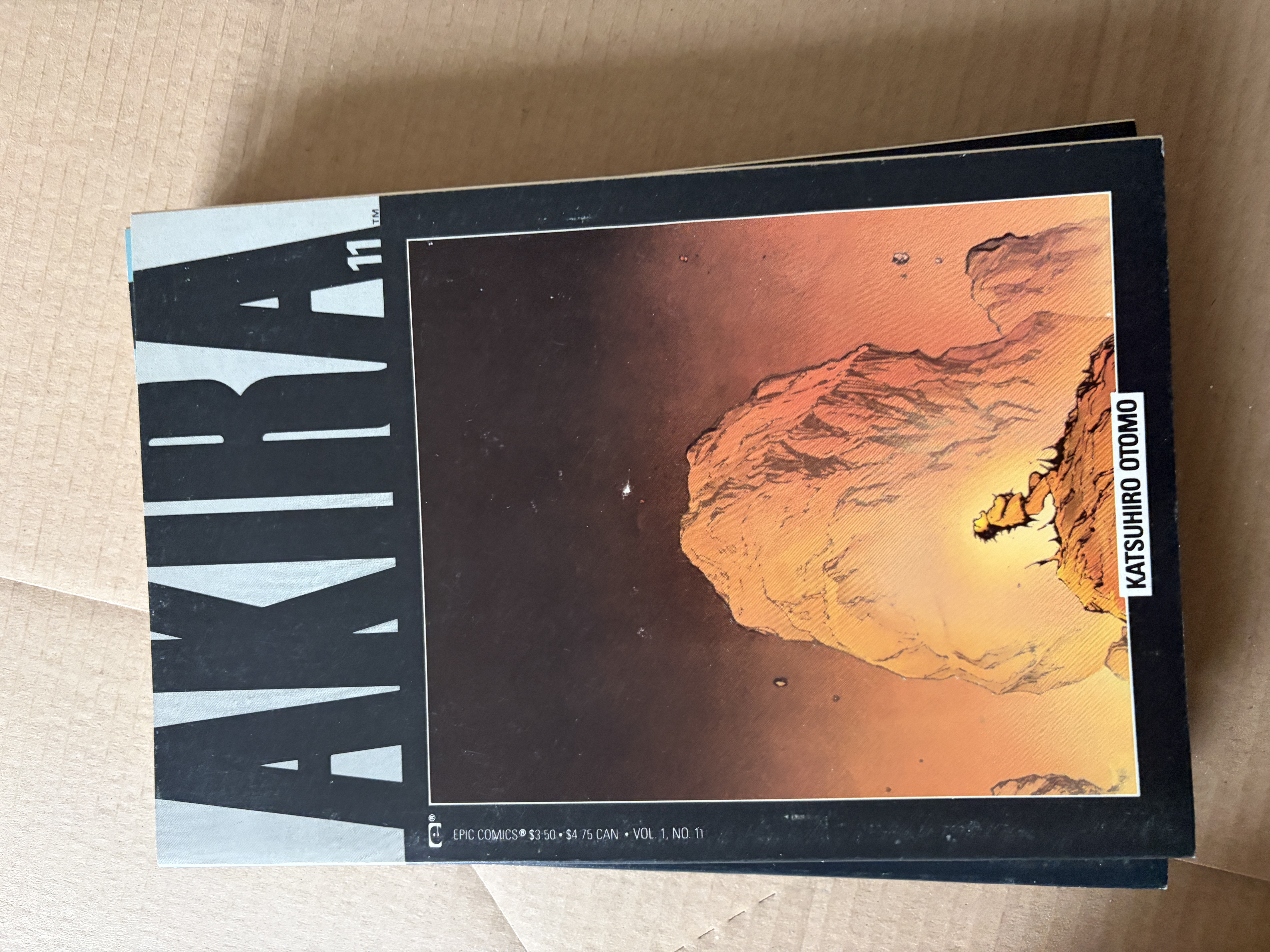 AKIRA 11