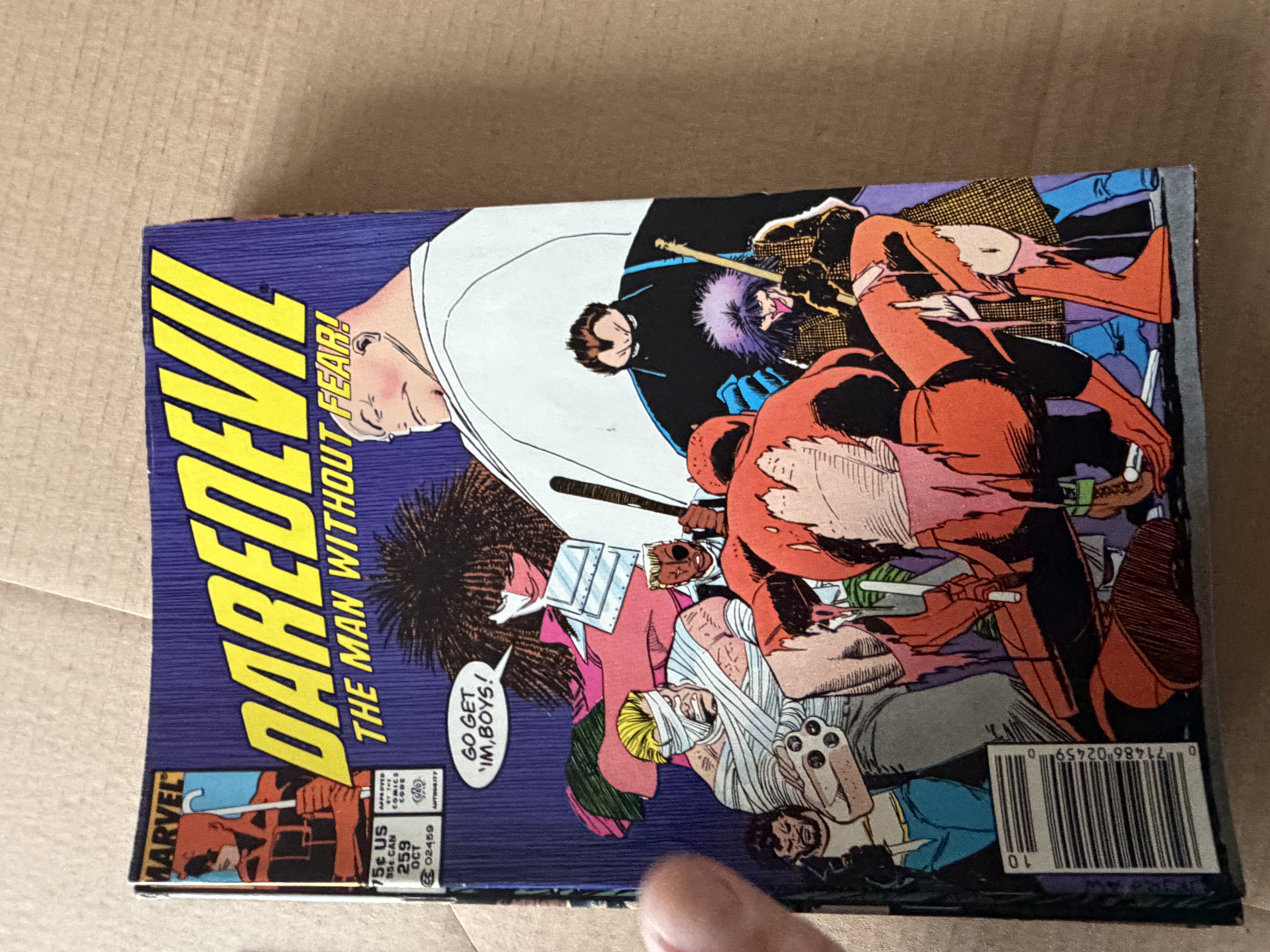 Daredevil: The Man Without Fear! #259