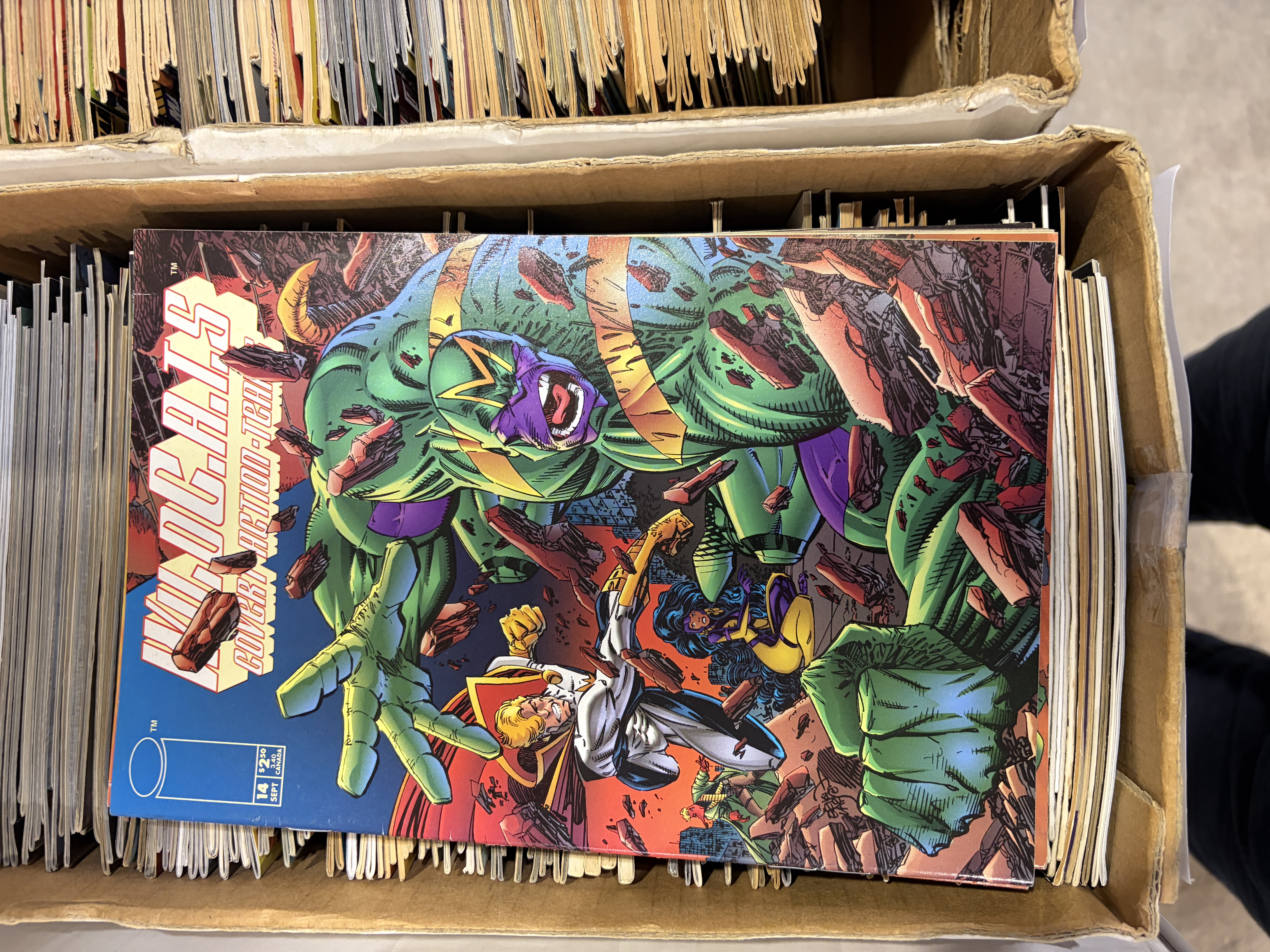 Wildcats #14 - Larsen issue