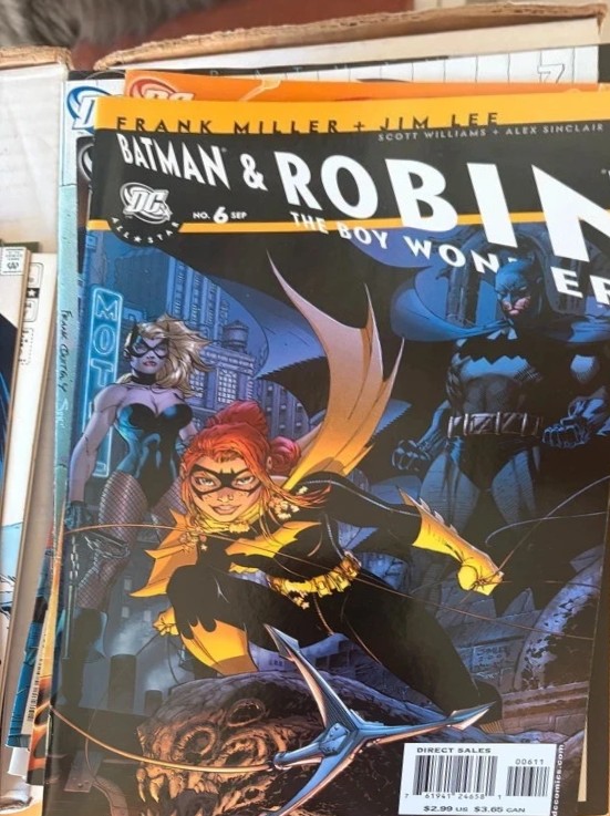 Batman & Robin: The Boy Wonder #6 — Comic DC — Moulin Comics